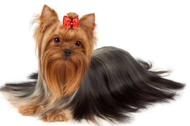 Similar image 7642029