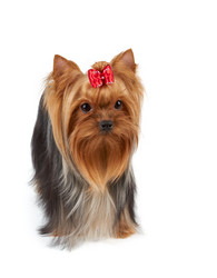 Similar image 7642054