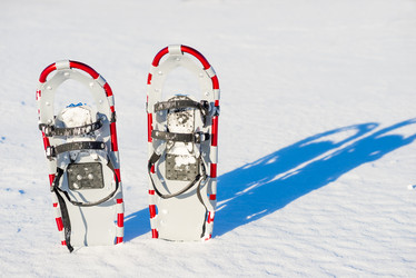 Similar image 7642121