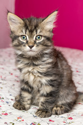 Similar image 7642122