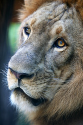 Similar image 7642262