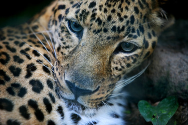 Similar image 7642263