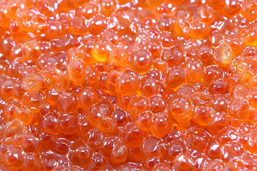 Similar image 7642333