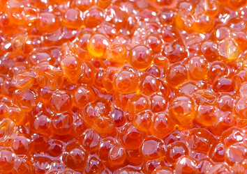 Similar image 7642340