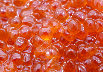 Similar image 7642350