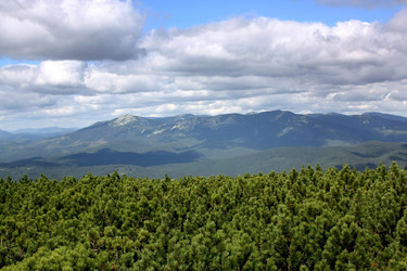 Similar image 7642383