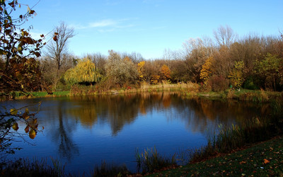 Similar image 7642390