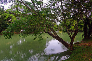 Similar image 7642393