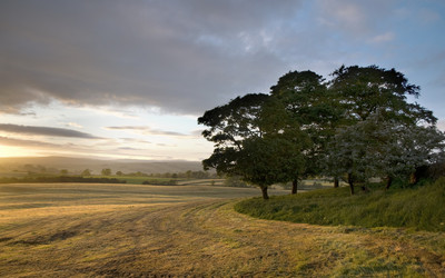 Similar image 7642400