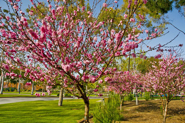 Similar image 7642401