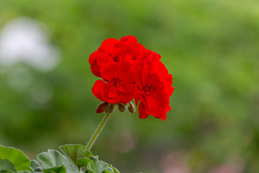 Similar image 7642412