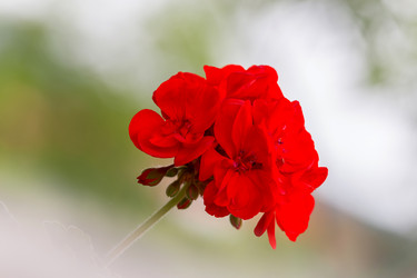 Similar image 7642416