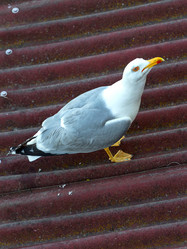 Similar image 7642417