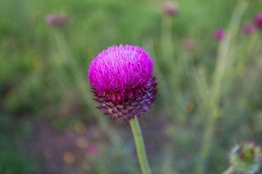 Similar image 7642472