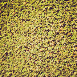 Similar image 7642736