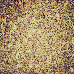 Similar image 7642748