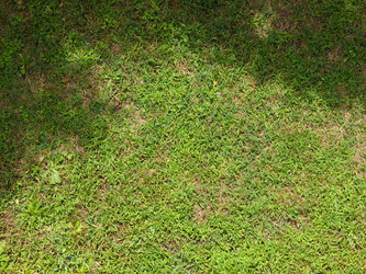 Similar image 7642871