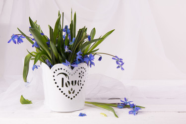 Similar image 7642877