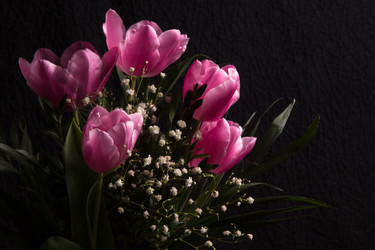 Similar image 7642899