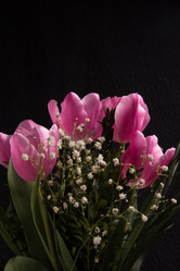 Similar image 7642901