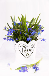 Similar image 7642911