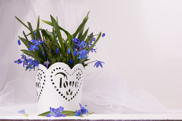 Similar image 7642913