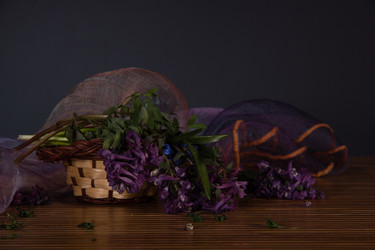 Similar image 7642961