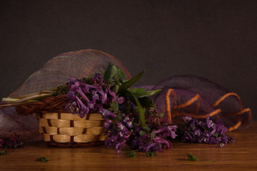 Similar image 7642962