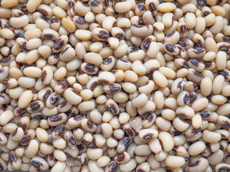 Similar image 7643232