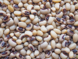 Similar image 7643296