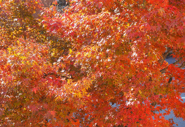 Similar image 7643299