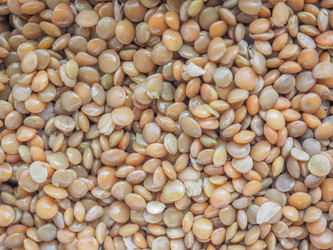 Similar image 7643309