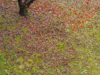 Similar image 7643437