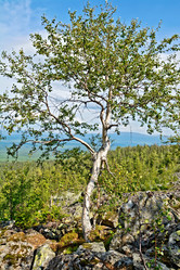 Similar image 7643539