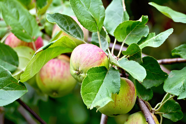 Similar image 7643552