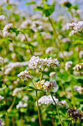 Similar image 7643556