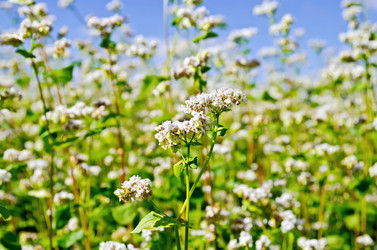 Similar image 7643570