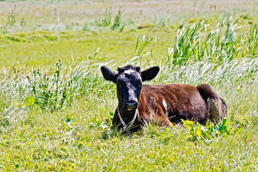 Similar image 7643630