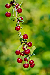 Similar image 7643667