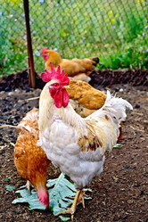 Similar image 7643684