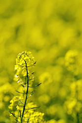 Similar image 7643713