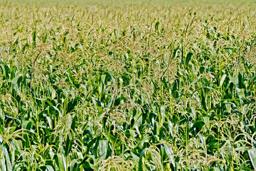 Similar image 7643749