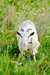 Similar image 7643865