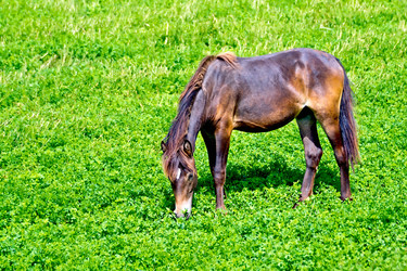 Similar image 7643908