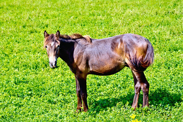 Similar image 7643909