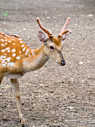 Similar image 7643964