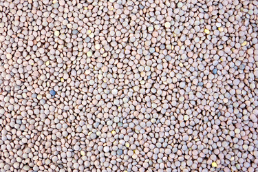 Similar image 7643969