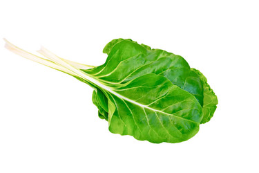 Similar image 7643975