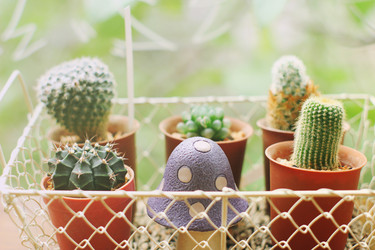 Similar image 7644333