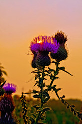 Similar image 7644401